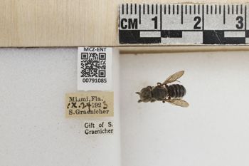 Media type: image;   Entomology 791085 Aspect: Labels